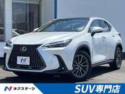 2024 LEXUS NX