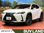 2020 LEXUS UX