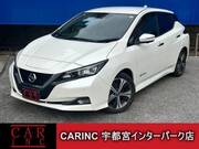 2021 NISSAN LEAF G