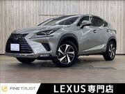 2019 LEXUS NX