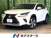2019 LEXUS NX
