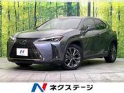 2021 LEXUS UX