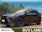 2024 LEXUS NX