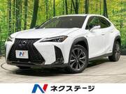 2021 LEXUS UX