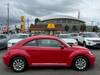 VOLKSWAGEN THE BEETLE