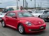VOLKSWAGEN THE BEETLE