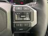 TOYOTA LANDCRUISER 250