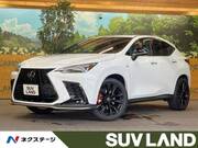 2022 LEXUS NX