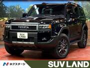 2025 TOYOTA LANDCRUISER 250