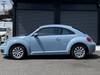 VOLKSWAGEN THE BEETLE