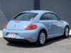 VOLKSWAGEN THE BEETLE