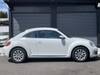 VOLKSWAGEN THE BEETLE