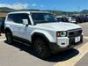 TOYOTA LANDCRUISER 250