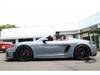 PORSCHE OTHER