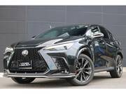 2022 LEXUS NX