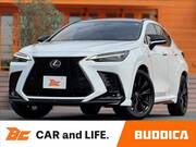 2024 LEXUS NX