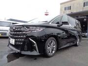 2024 TOYOTA ALPHARD