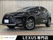 2019 LEXUS NX