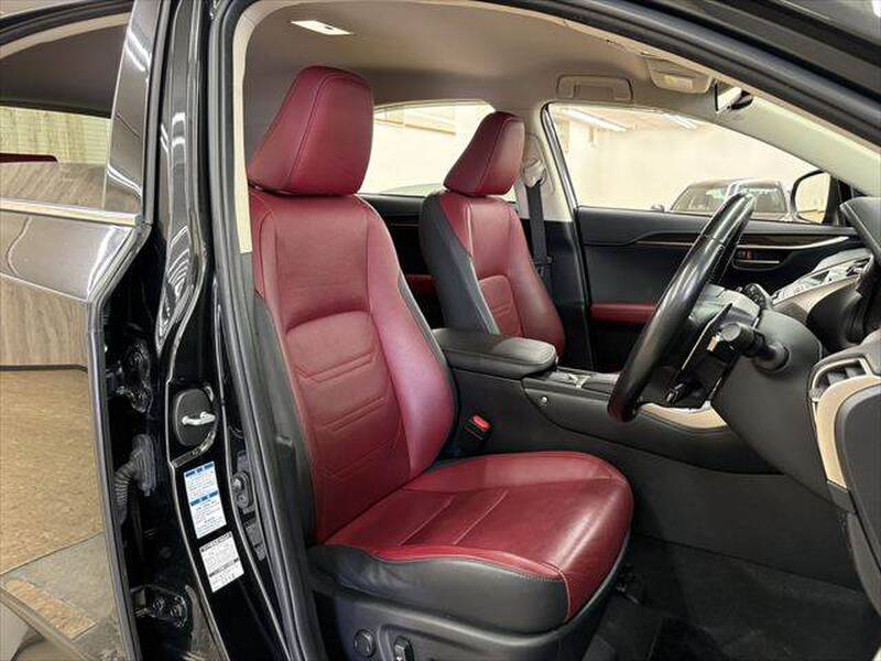2019 LEXUS NX for sale - photo 9