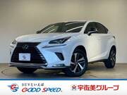 2020 LEXUS NX