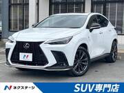 2023 LEXUS NX