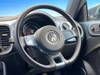 VOLKSWAGEN THE BEETLE