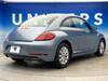 VOLKSWAGEN THE BEETLE