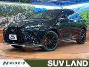 2025 LEXUS NX