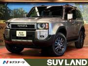 2024 TOYOTA LANDCRUISER 250