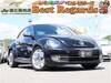 VOLKSWAGEN THE BEETLE