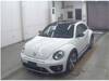 VOLKSWAGEN THE BEETLE