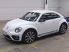 VOLKSWAGEN THE BEETLE