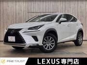 2018 LEXUS NX
