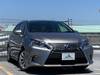 LEXUS HS