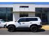 TOYOTA LANDCRUISER 250