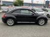 VOLKSWAGEN THE BEETLE