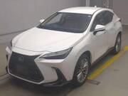 2025 LEXUS NX