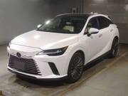 2023 LEXUS RX