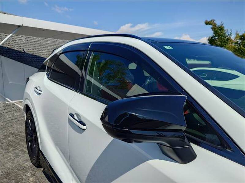 2023 LEXUS RX for sale - more photos
