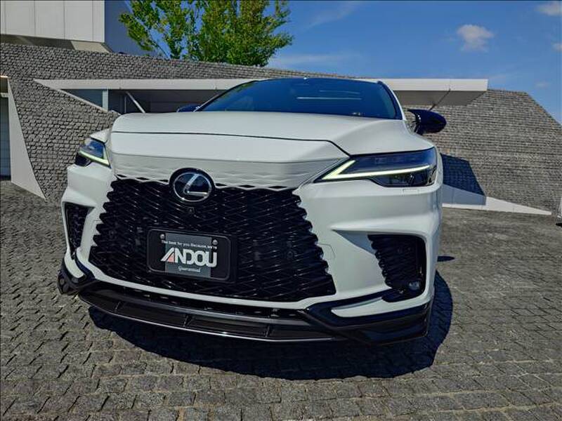 2023 LEXUS RX for sale - photo 9