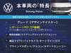 VOLKSWAGEN THE BEETLE