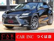 2018 LEXUS NX