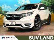 2019 HONDA OTHER