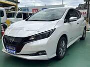 2024 NISSAN LEAF