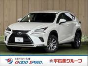 2019 LEXUS NX