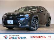 2021 LEXUS UX