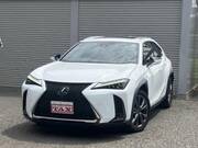 2019 LEXUS UX