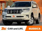 2021 TOYOTA LAND CRUISER PRADO