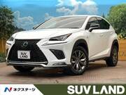 2019 LEXUS NX