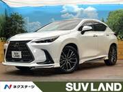 2025 LEXUS NX